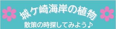 花ボタン
